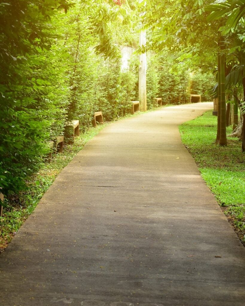 Pathway through lush greenery symbolizing growth and direction in discipleship and leadership development.
