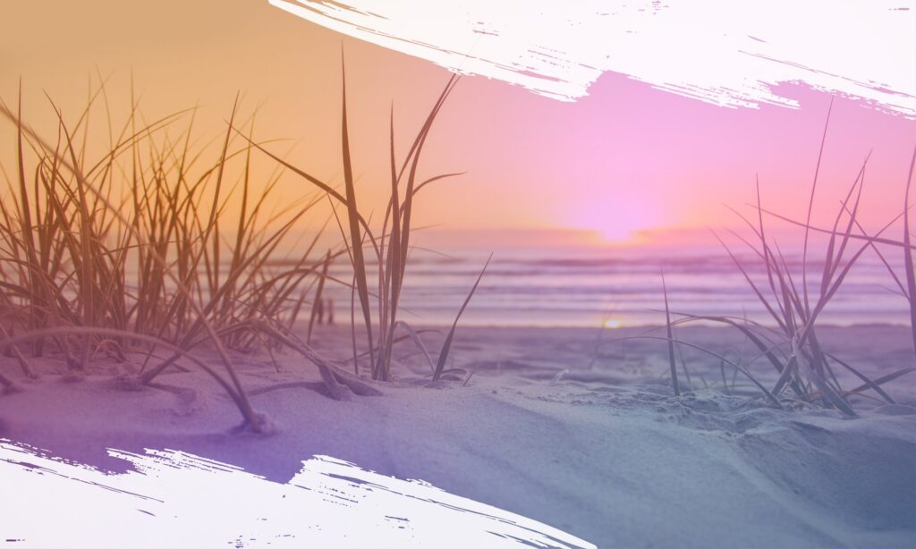 Beach scene with grass and pastel sunset