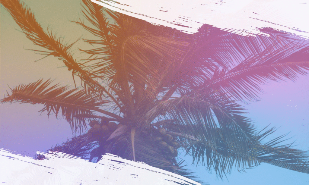 Palm leaves against pastel sky