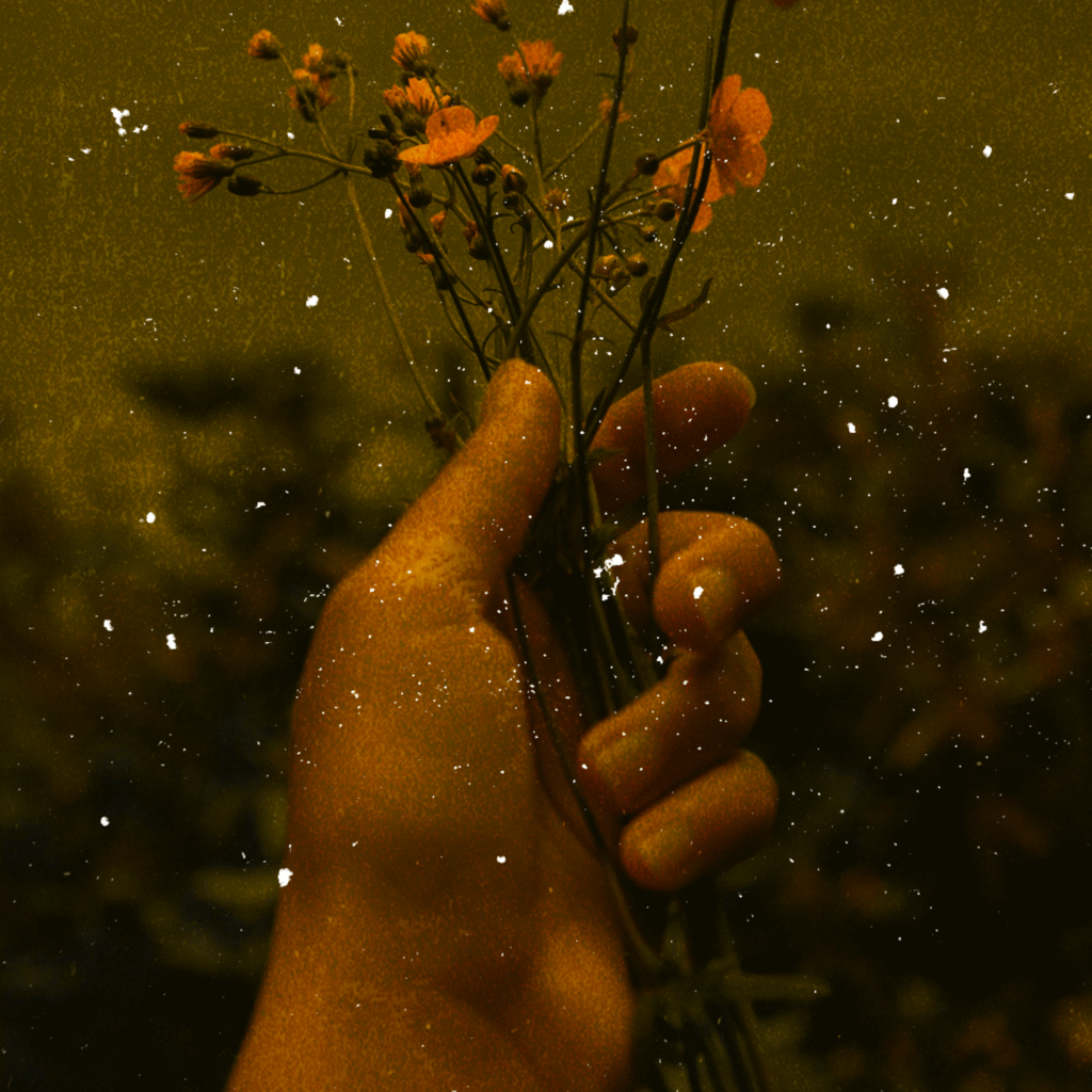 Hand holding a small branch with leaves in warm light