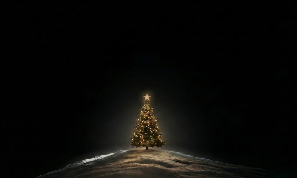 Small lit tree on dark background