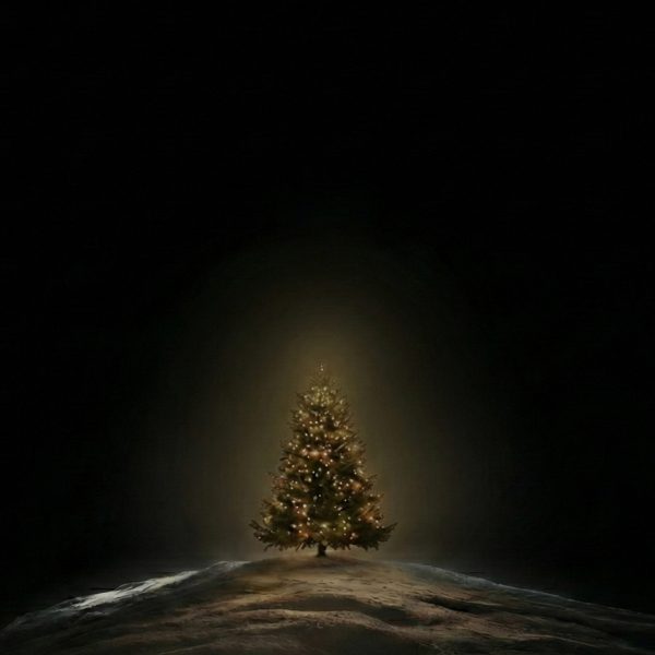 Small lit tree on dark background