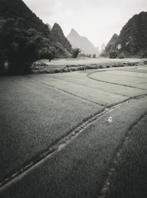 Black and white photograph of a paved road curving through landscape