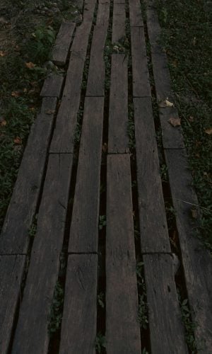 Wooden pathway leading through grass, symbolizing a journey and connection to community involvement with Multiply the Church.