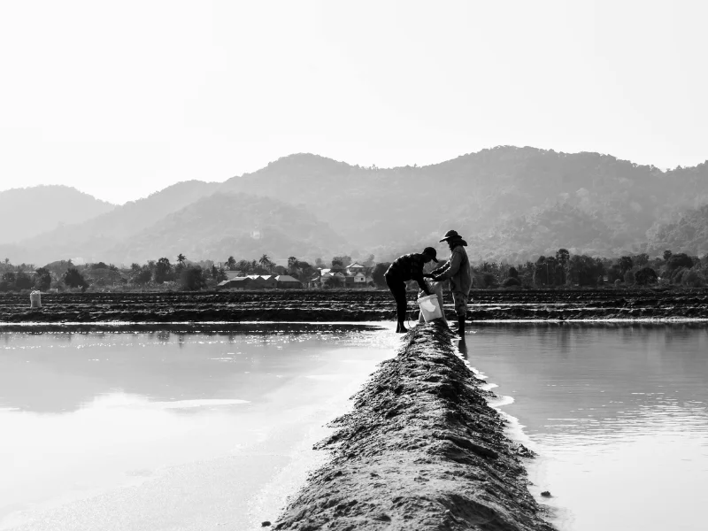 Black and white photograph of people walking along narrow path over water
